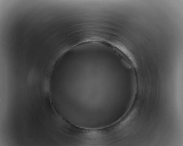 X0000089740945200706281605