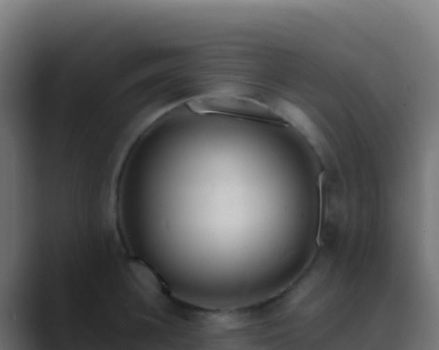 X0000089740948200706281605