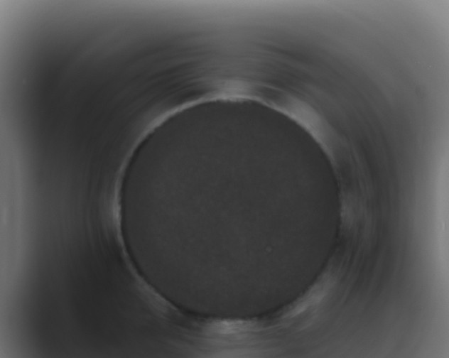 X0000089740950200706281605