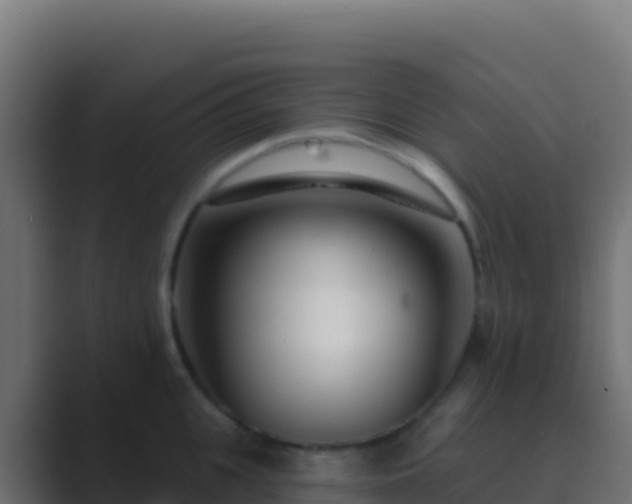 X0000089740951200706281605