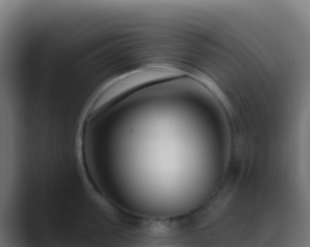 X0000089740955200706281605