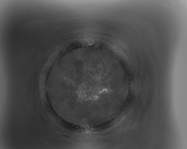 X0000089740961200706281604