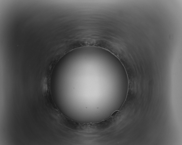 X0000089740962200706281604