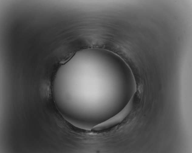 X0000089740963200706281604