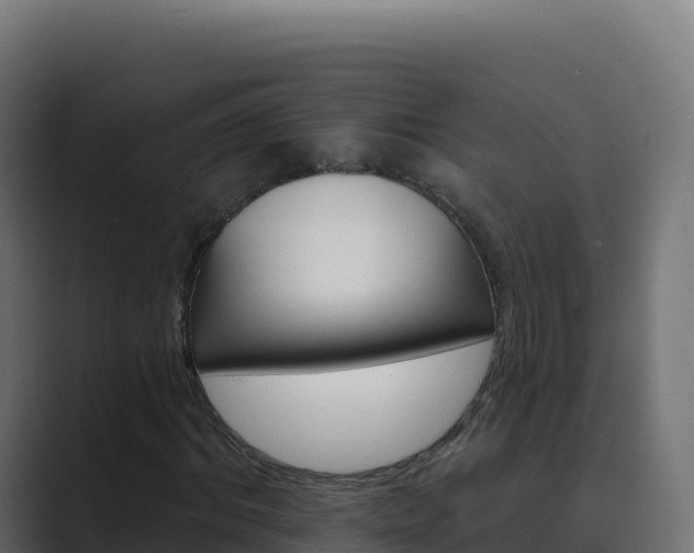 X0000089740964200706281604
