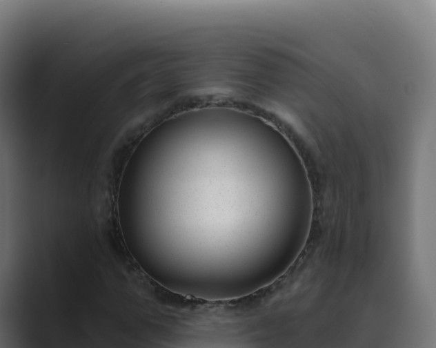 X0000089740967200706281604