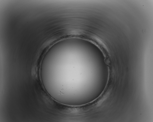 X0000089740970200706281604