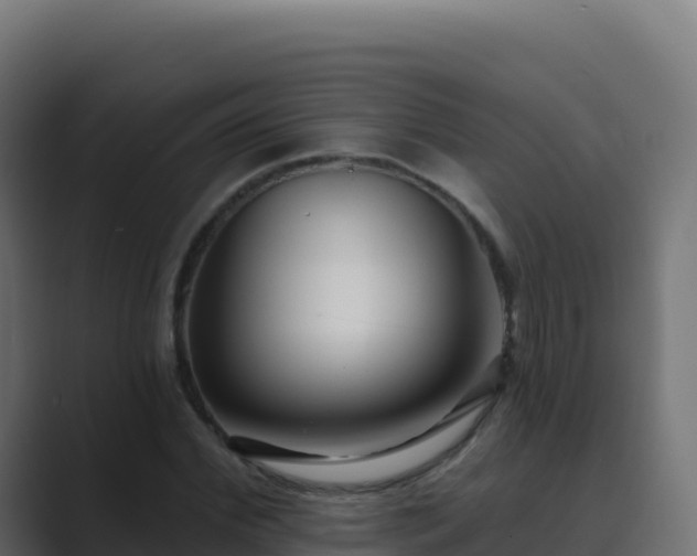 X0000089740972200706281604