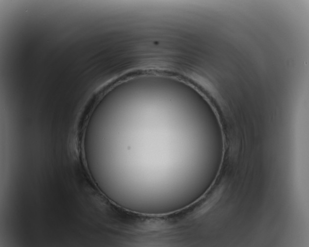 X0000089740974200706281604