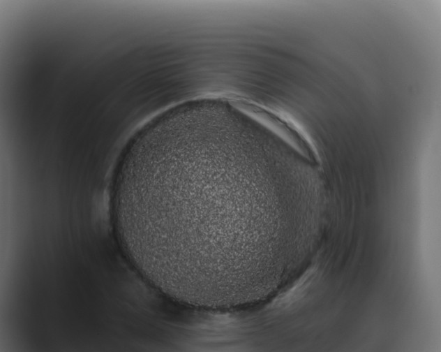 X0000089740975200706281604