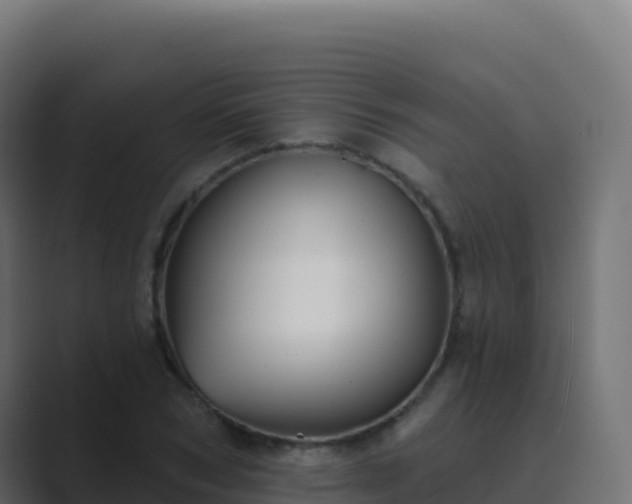 X0000089740978200706281604