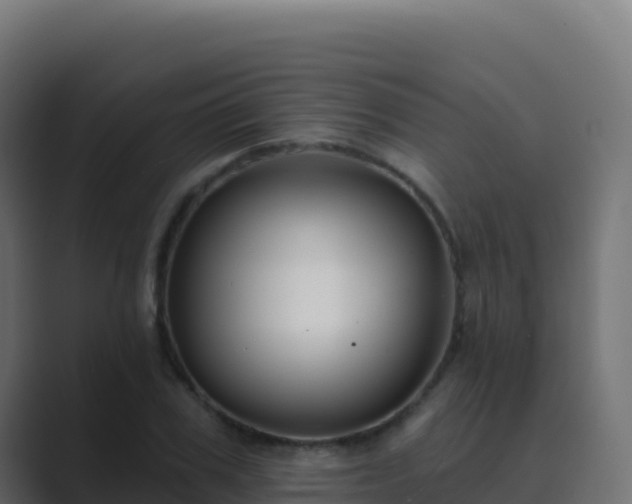 X0000089740979200706281604
