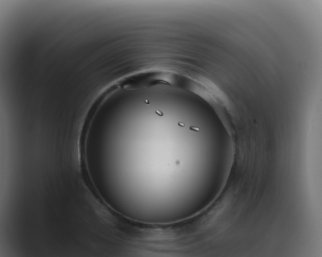 X0000089740980200706281604