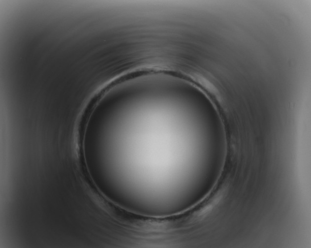 X0000089740981200706281604
