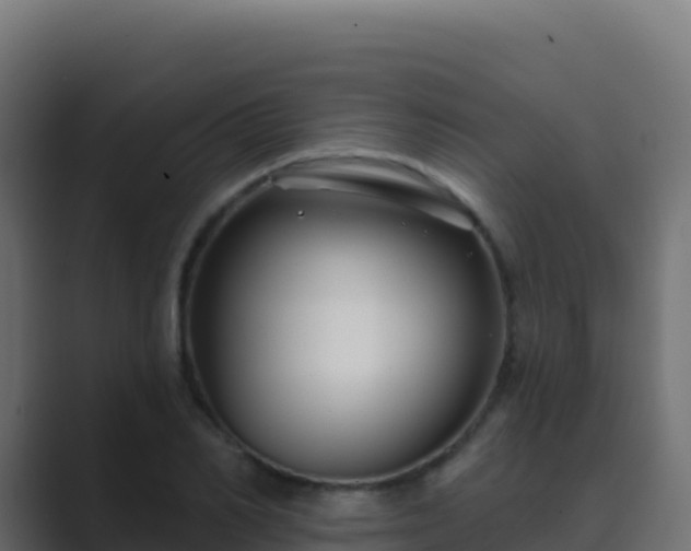 X0000089740982200706281604