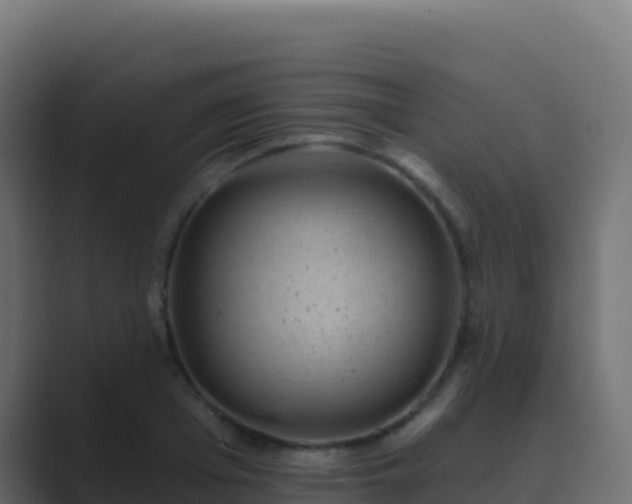 X0000089740985200706281604