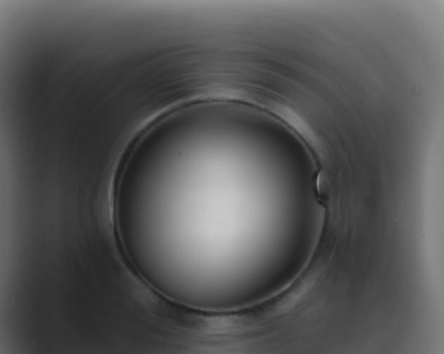 X0000089740988200706281604