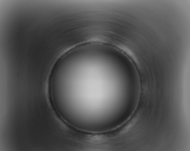 X0000089740991200706281604