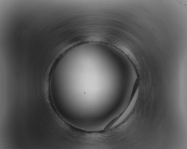 X0000089740992200706281604