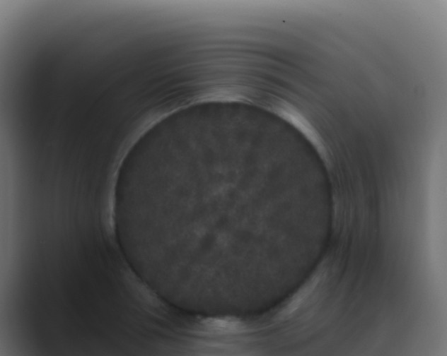 X0000089740994200706281604