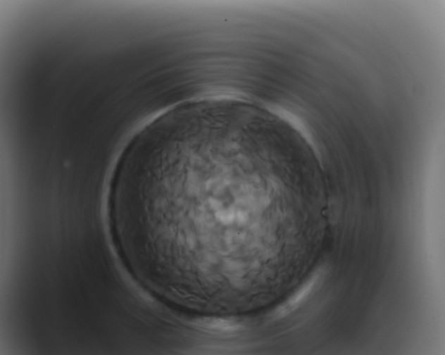 X0000089740995200706281604