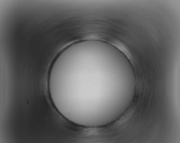 X0000089741000200706281604