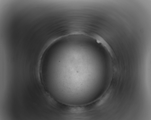 X0000089741002200706281604