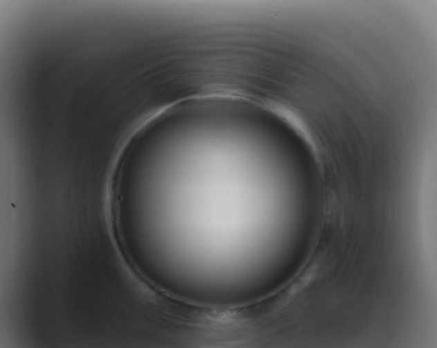 X0000089741003200706281604