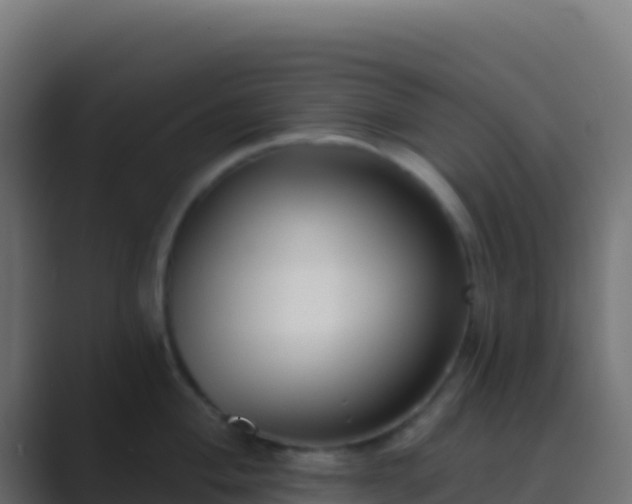 X0000089741004200706281604