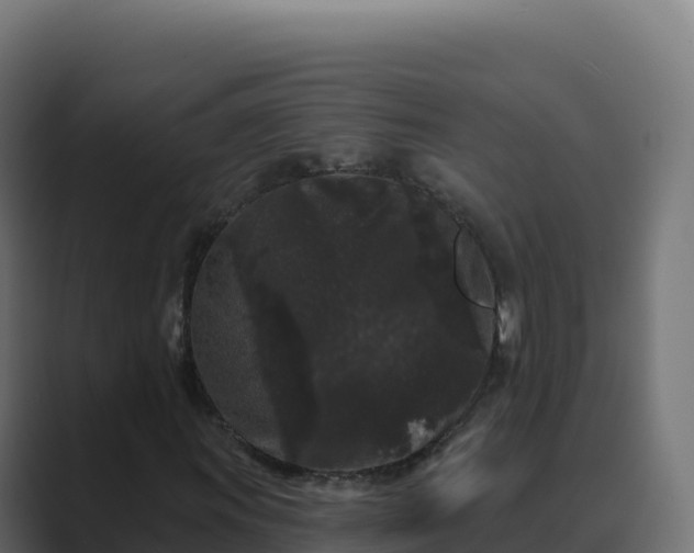 X0000089741011200706281603