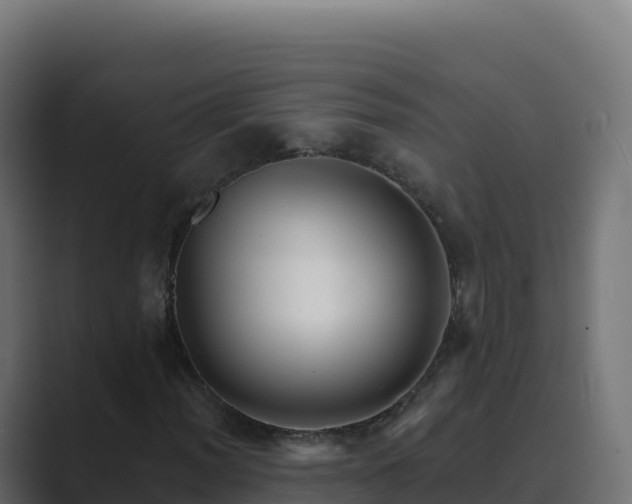 X0000089741012200706281603