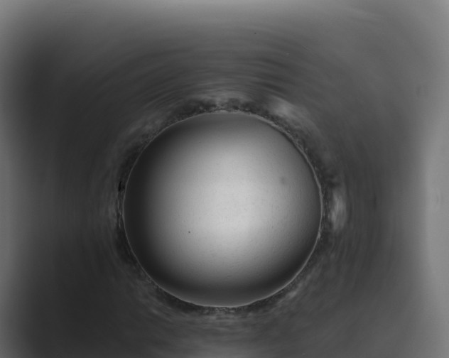X0000089741014200706281603