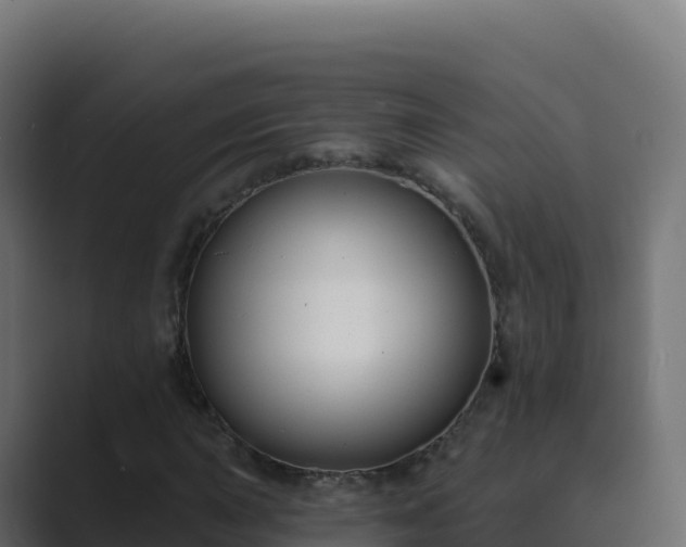 X0000089741015200706281603