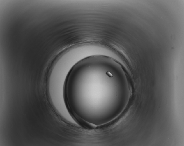X0000089741018200706281603