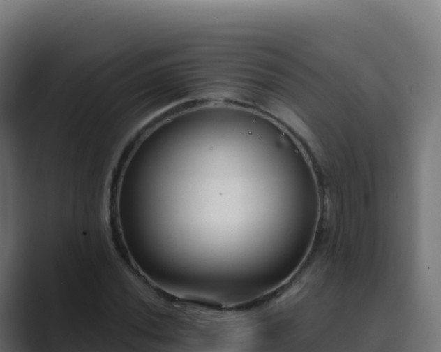 X0000089741020200706281603