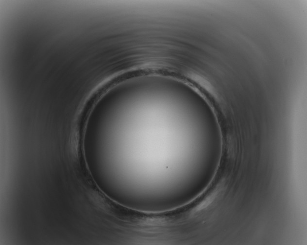 X0000089741021200706281603