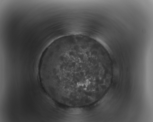 X0000089741023200706281603