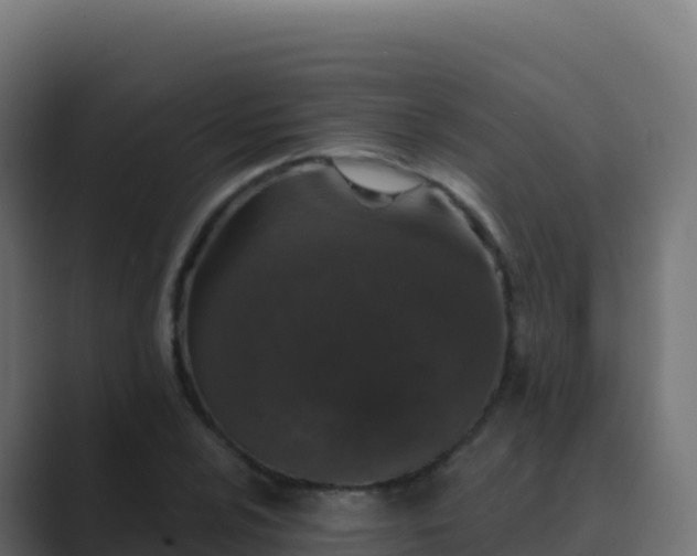 X0000089741024200706281603