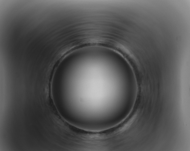 X0000089741025200706281603