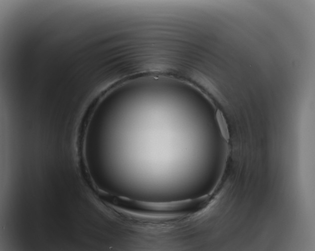 X0000089741026200706281603