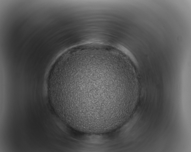 X0000089741027200706281603