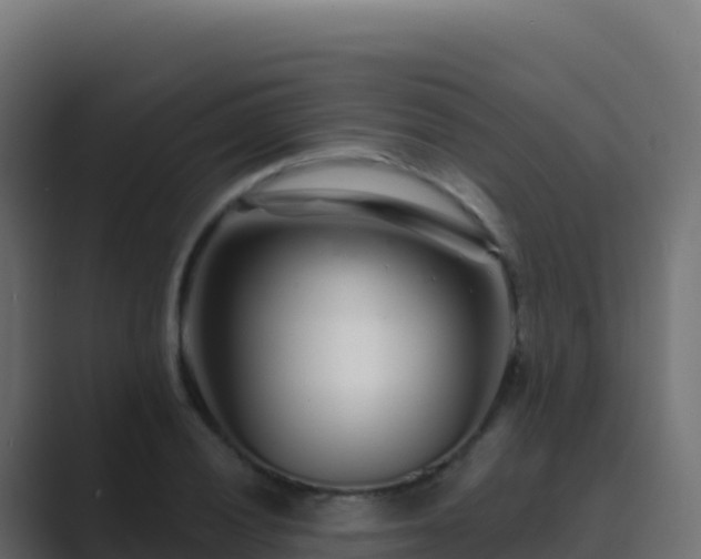 X0000089741028200706281603
