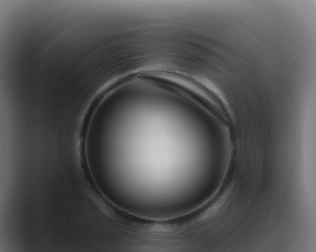 X0000089741029200706281603