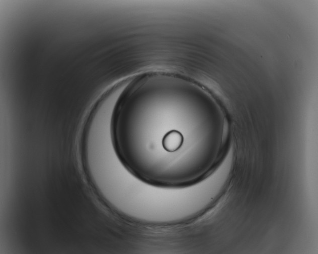 X0000089741030200706281603