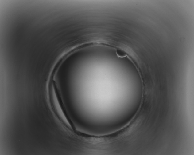 X0000089741032200706281603