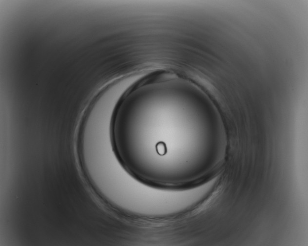 X0000089741034200706281603