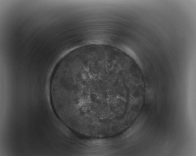 X0000089741035200706281603