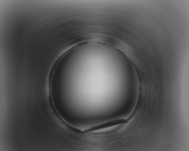 X0000089741036200706281603