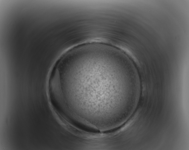 X0000089741038200706281603