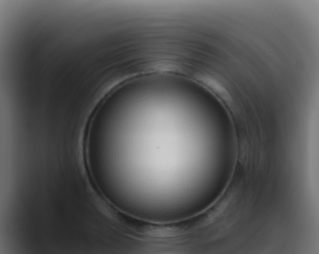 X0000089741039200706281603